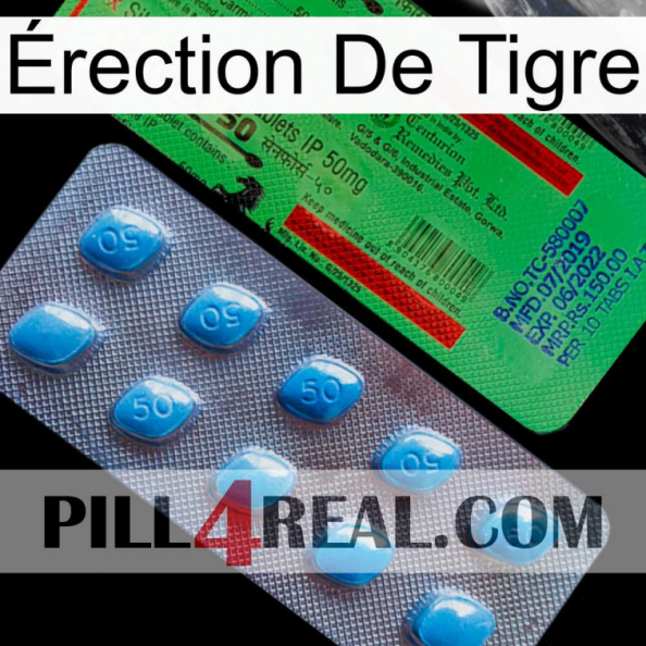 Érection De Tigre new03